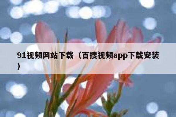 91视频网站下载（百搜视频app下载安装）