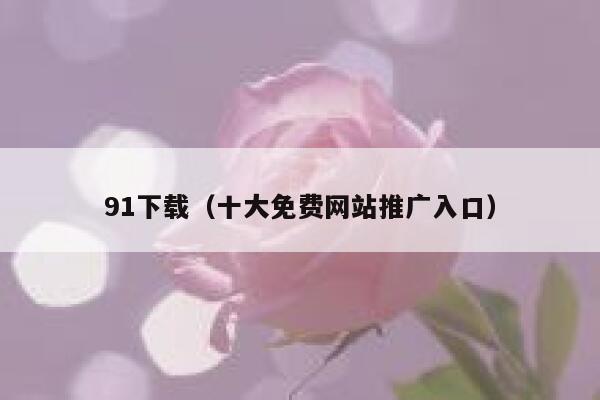 91下载（十大免费网站推广入口）