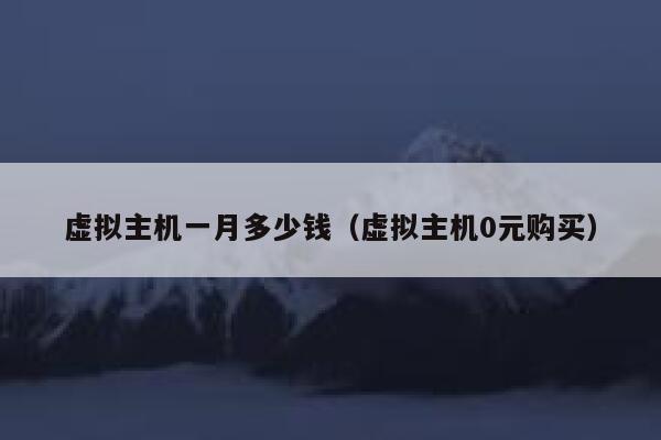 虚拟主机一月多少钱（虚拟主机0元购买）