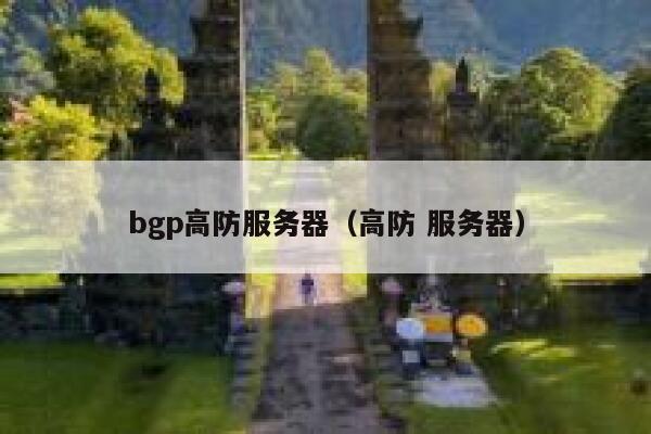 bgp高防服务器（高防 服务器）