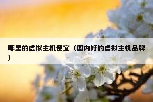 哪里的虚拟主机便宜（国内好的虚拟主机品牌）