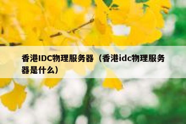 香港IDC物理服务器（香港idc物理服务器是什么）