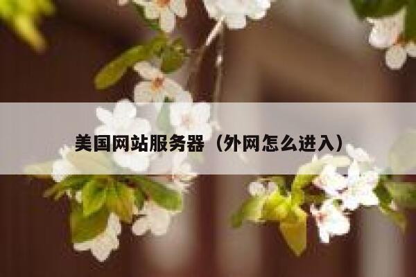 美国网站服务器（外网怎么进入）