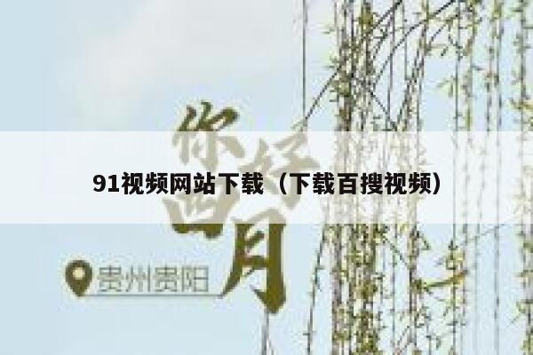 91视频网站下载（下载百搜视频）