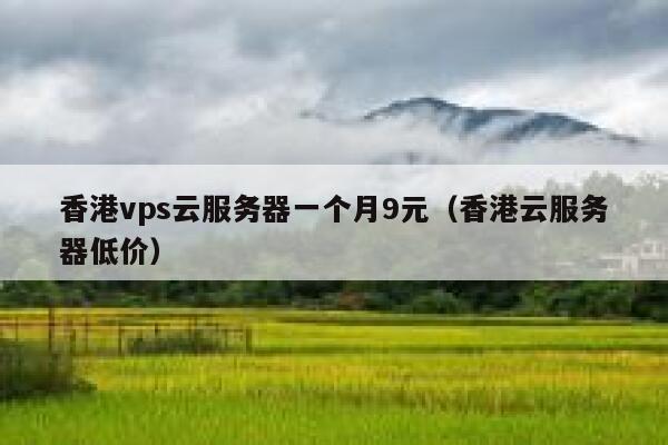 香港vps云服务器一个月9元（香港云服务器低价）