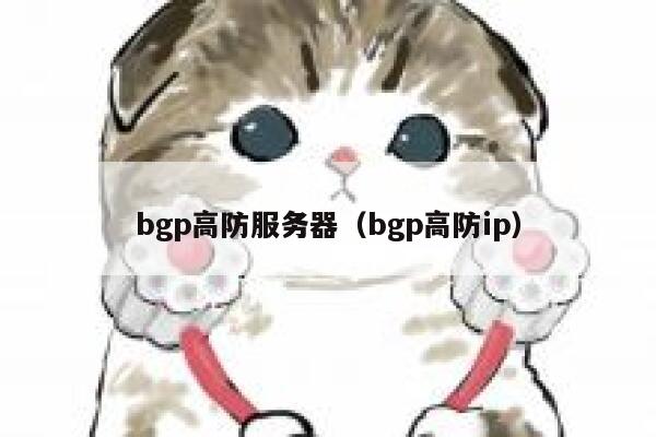 bgp高防服务器（bgp高防ip）