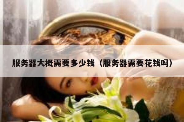 服务器大概需要多少钱（服务器需要花钱吗）