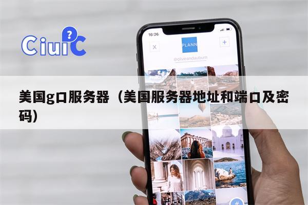 美国g口服务器（美国服务器地址和端口及密码）