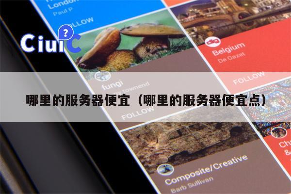 哪里的服务器便宜（哪里的服务器便宜点）