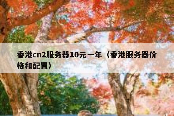 香港cn2服务器10元一年（香港服务器价格和配置）