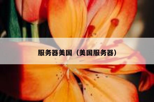 服务器美国（美国服务器）