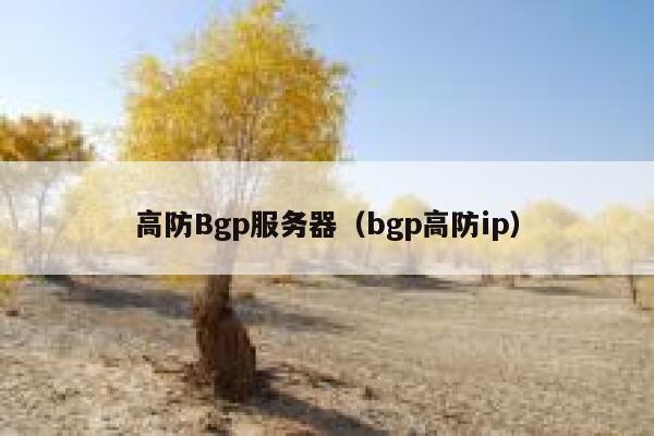 高防Bgp服务器（bgp高防ip）