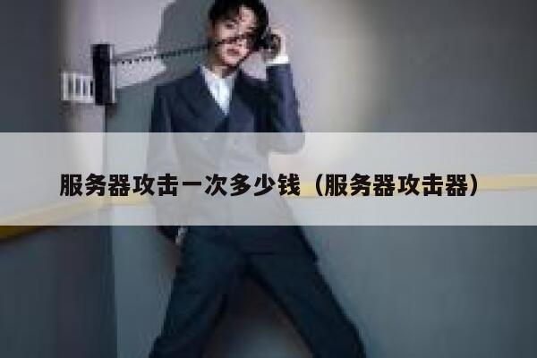 服务器攻击一次多少钱（服务器攻击器）