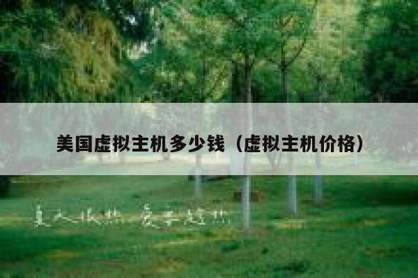 美国虚拟主机多少钱（虚拟主机价格）