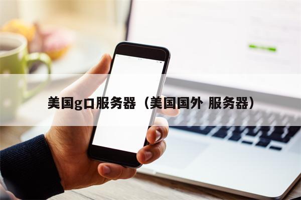 美国g口服务器（美国国外 服务器）