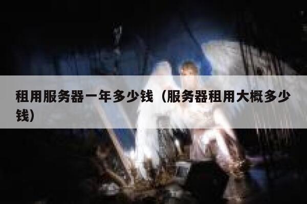 租用服务器一年多少钱（服务器租用大概多少钱）