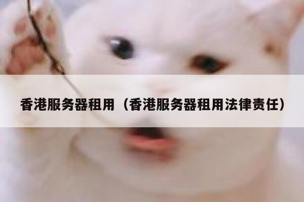 香港服务器租用（香港服务器租用法律责任）