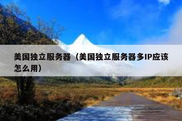 美国独立服务器（美国独立服务器多IP应该怎么用）