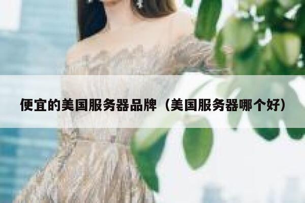 便宜的美国服务器品牌（美国服务器哪个好）