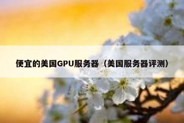 便宜的美国GPU服务器（美国服务器评测）