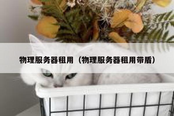 物理服务器租用（物理服务器租用带盾）