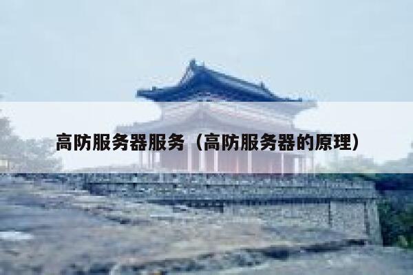 高防服务器服务（高防服务器的原理）