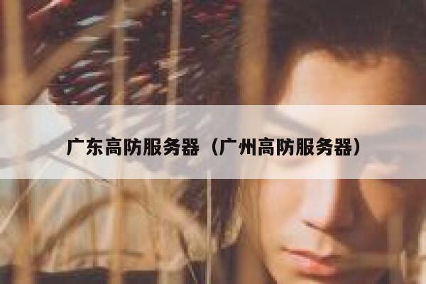 广东高防服务器（广州高防服务器）