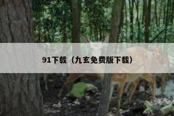 91下载（九玄免费版下载）