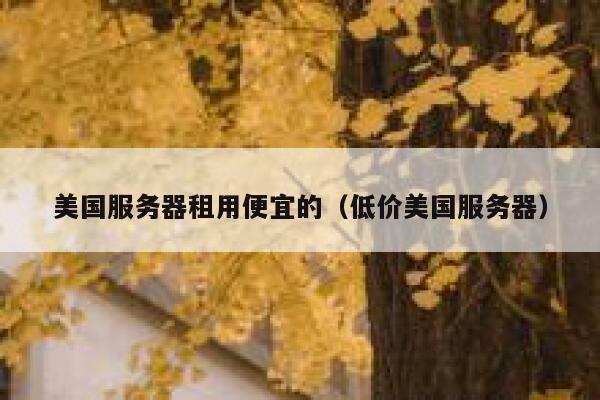 美国服务器租用便宜的（低价美国服务器）