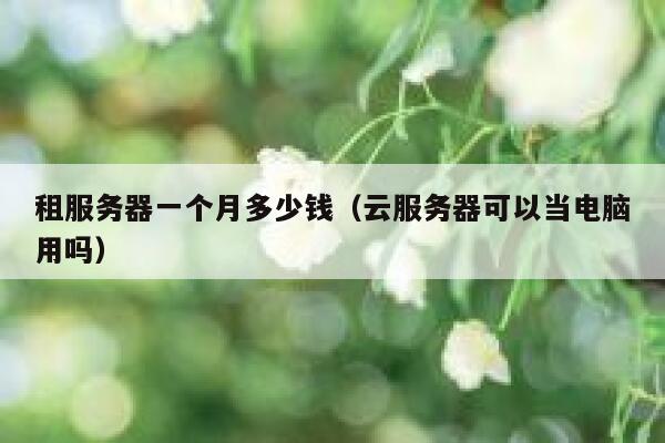 租服务器一个月多少钱（云服务器可以当电脑用吗）