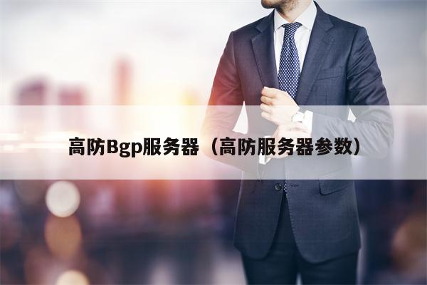 高防Bgp服务器（高防服务器参数）
