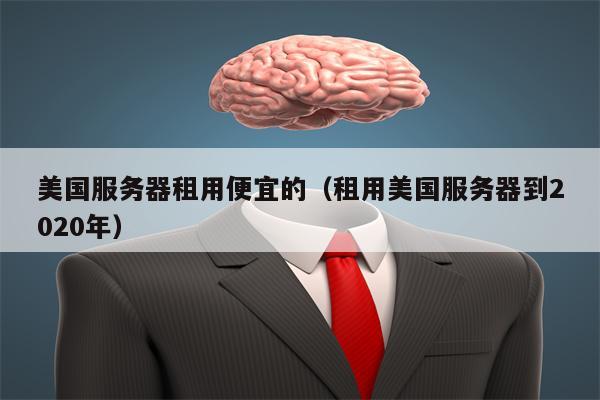美国服务器租用便宜的（租用美国服务器到2020年）