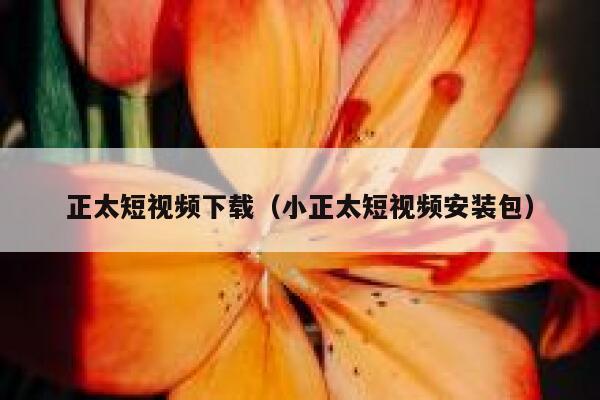 正太短视频下载（小正太短视频安装包）