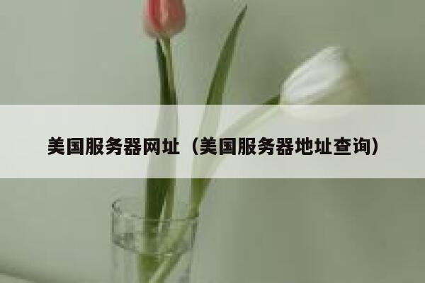 美国服务器网址（美国服务器地址查询）