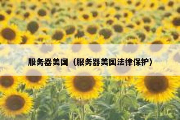 服务器美国（服务器美国法律保护）