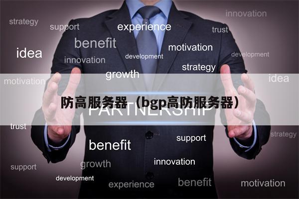 防高服务器（bgp高防服务器）