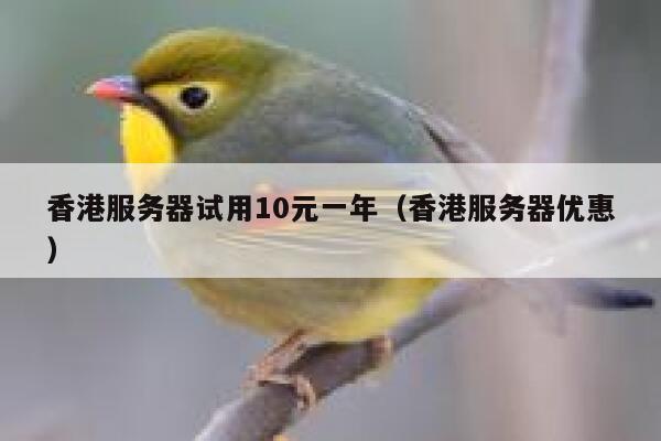 香港服务器试用10元一年（香港服务器优惠）
