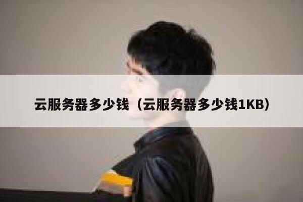 云服务器多少钱（云服务器多少钱1KB）