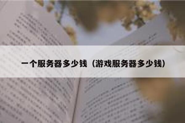 一个服务器多少钱（游戏服务器多少钱）