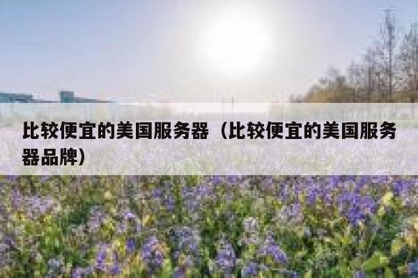 比较便宜的美国服务器（比较便宜的美国服务器品牌）