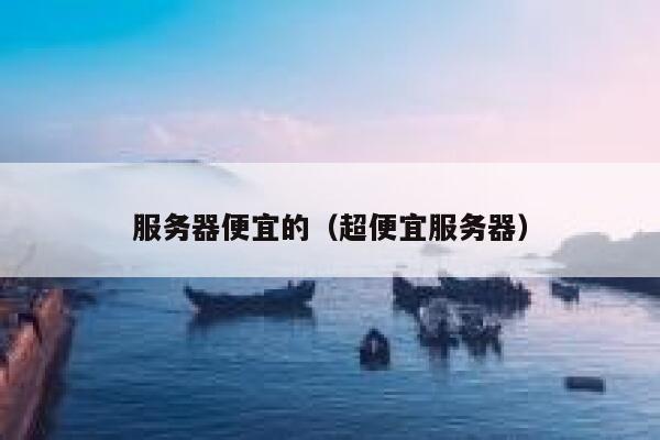 服务器便宜的（超便宜服务器）