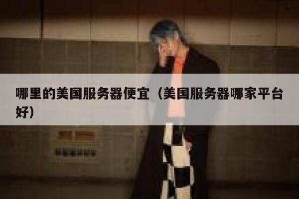哪里的美国服务器便宜（美国服务器哪家平台好）