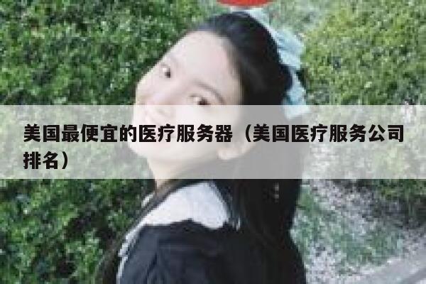 美国最便宜的医疗服务器（美国医疗服务公司排名）