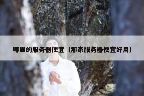 哪里的服务器便宜（那家服务器便宜好用）