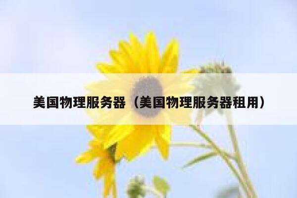 美国物理服务器（美国物理服务器租用）