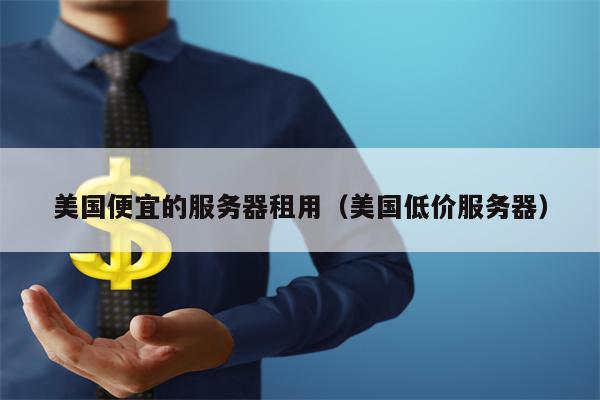 美国便宜的服务器租用（美国低价服务器）