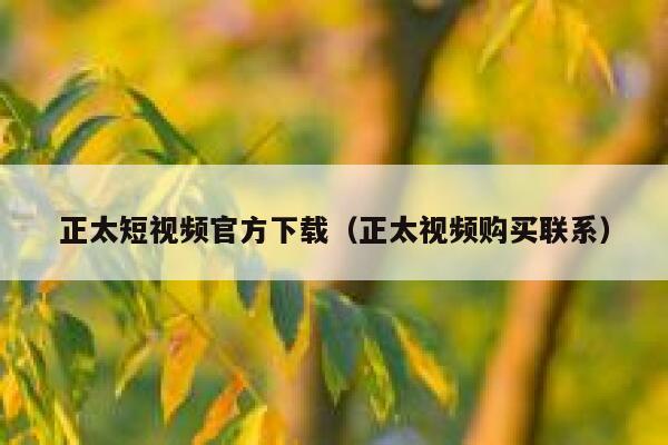 正太短视频官方下载（正太视频购买联系）