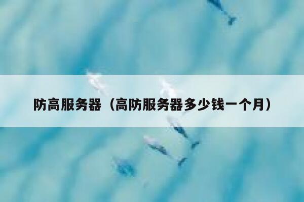 防高服务器（高防服务器多少钱一个月）