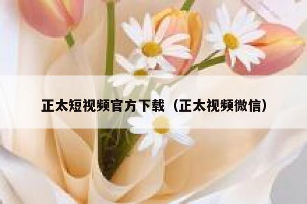 正太短视频官方下载（正太视频微信）