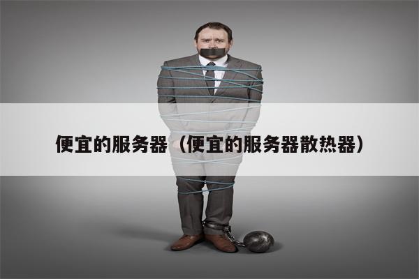便宜的服务器（便宜的服务器散热器）